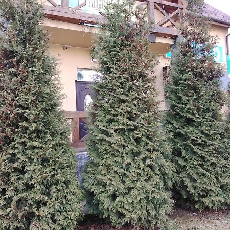 Mini-Hotel Ivano Frankivsk Bagian luar foto